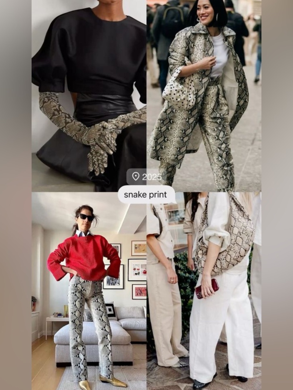 Snake Pants - Picture 11 of 11